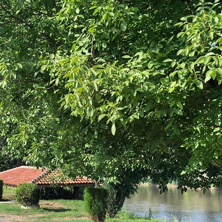 Apartmani Morava 54 Kocino Selo Dış mekan fotoğraf