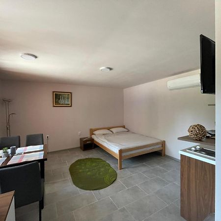 Apartmani Morava 54 Kocino Selo Dış mekan fotoğraf