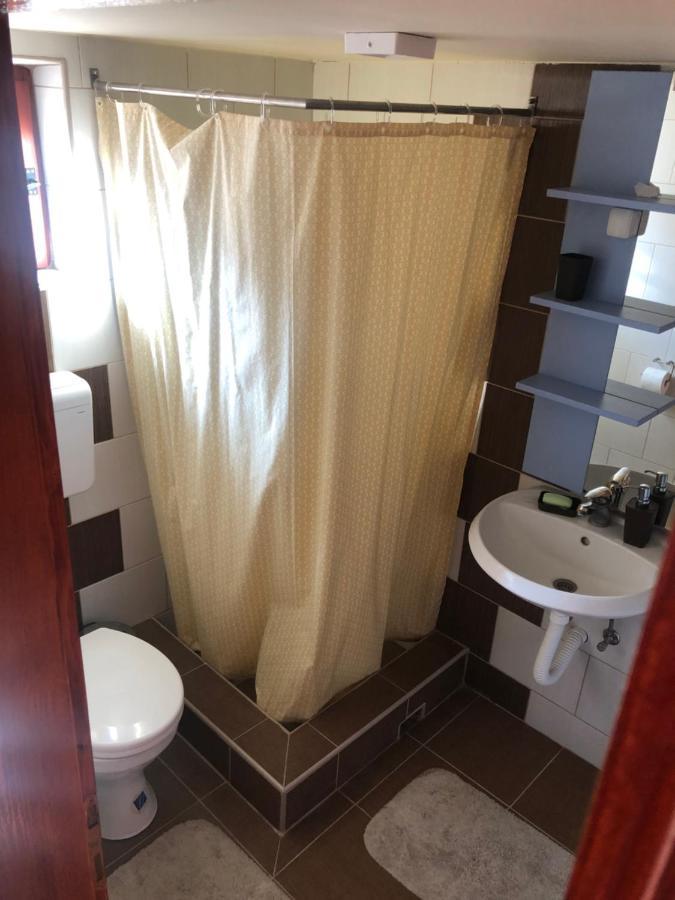 Apartmani Morava 54 Kocino Selo Dış mekan fotoğraf