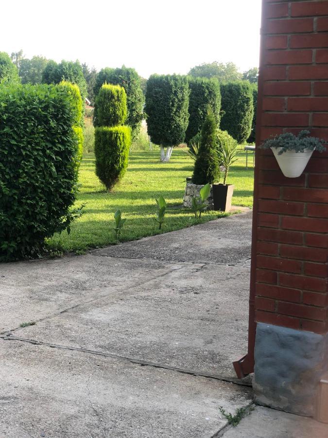 Apartmani Morava 54 Kocino Selo Dış mekan fotoğraf