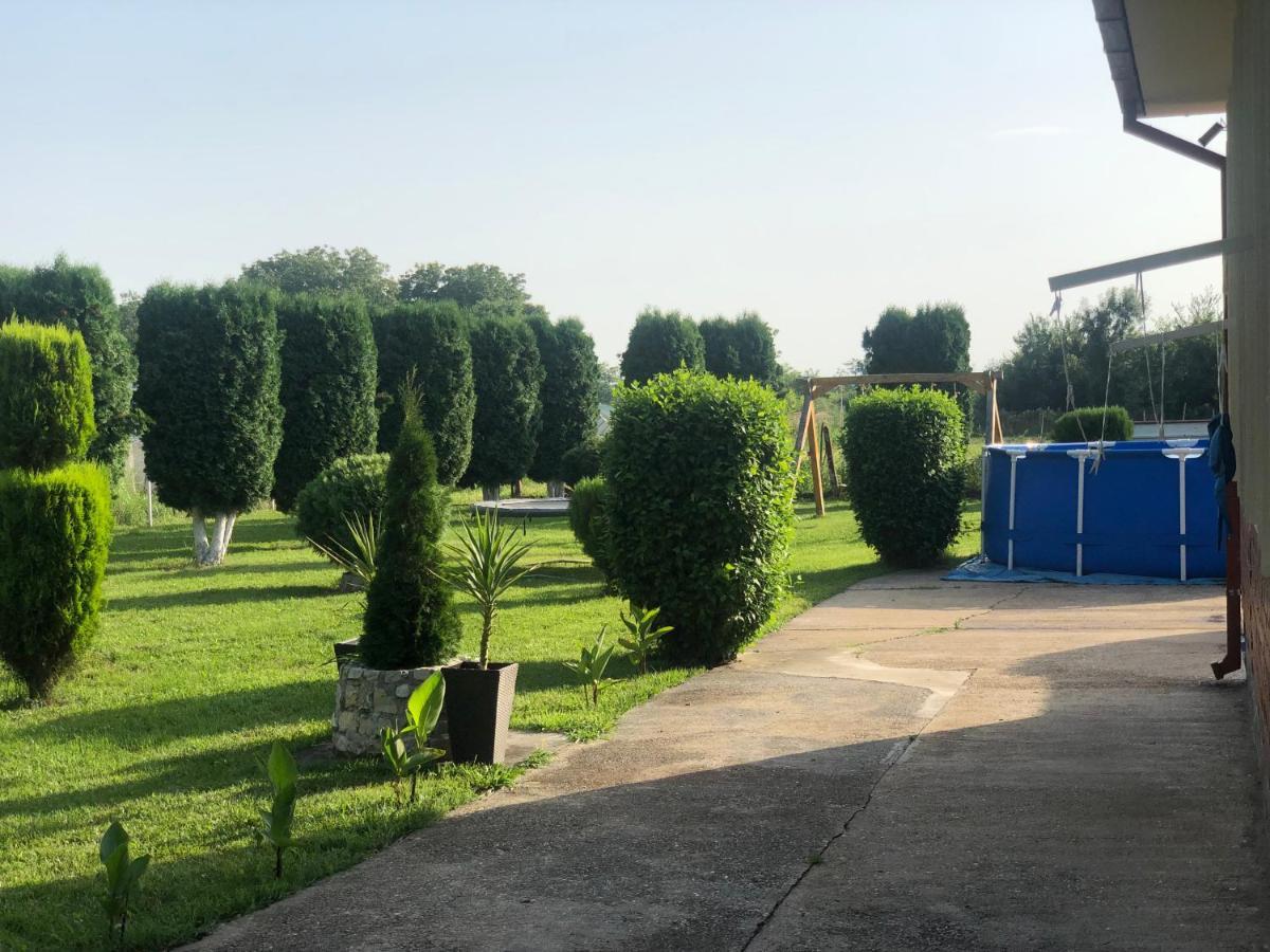 Apartmani Morava 54 Kocino Selo Dış mekan fotoğraf