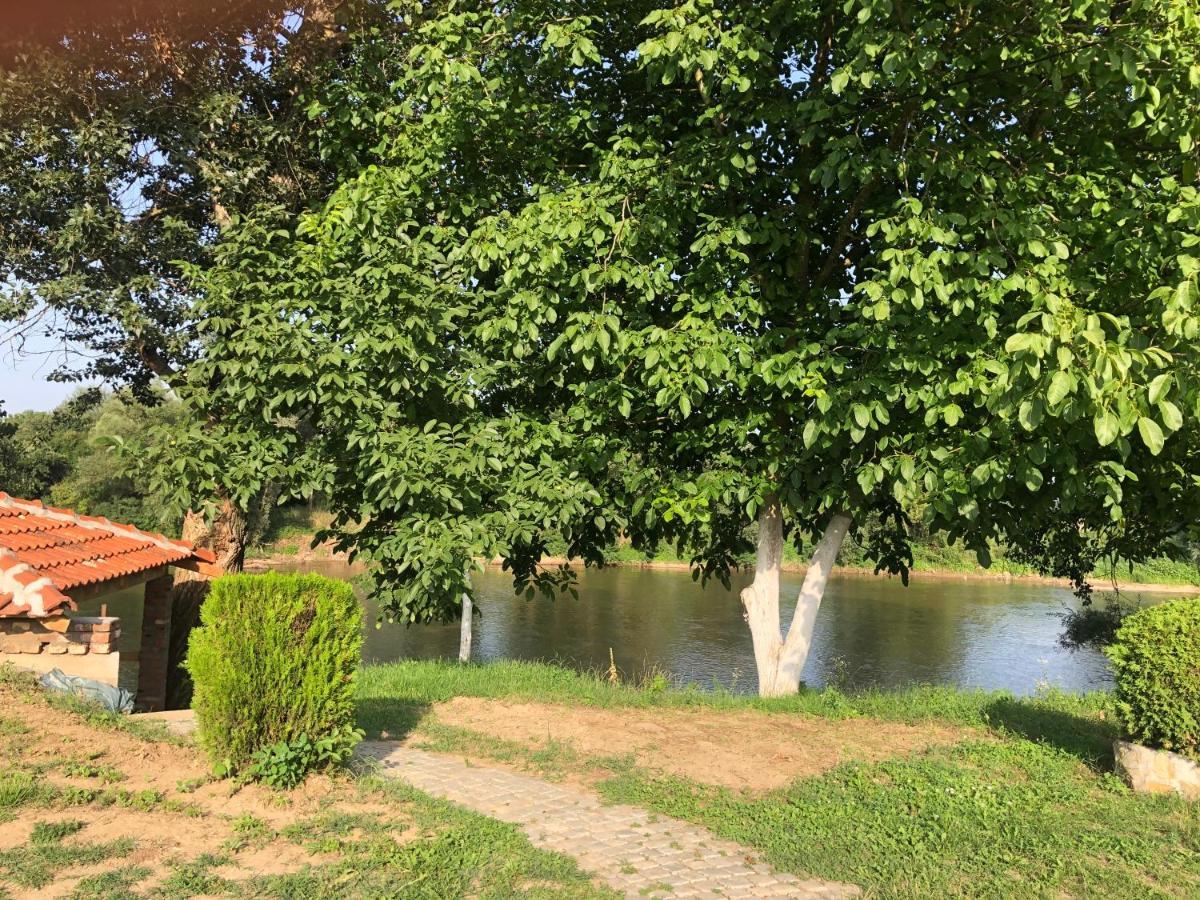 Apartmani Morava 54 Kocino Selo Dış mekan fotoğraf