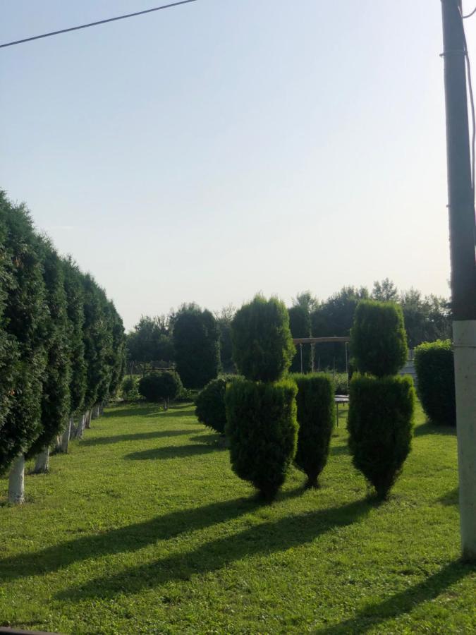 Apartmani Morava 54 Kocino Selo Dış mekan fotoğraf