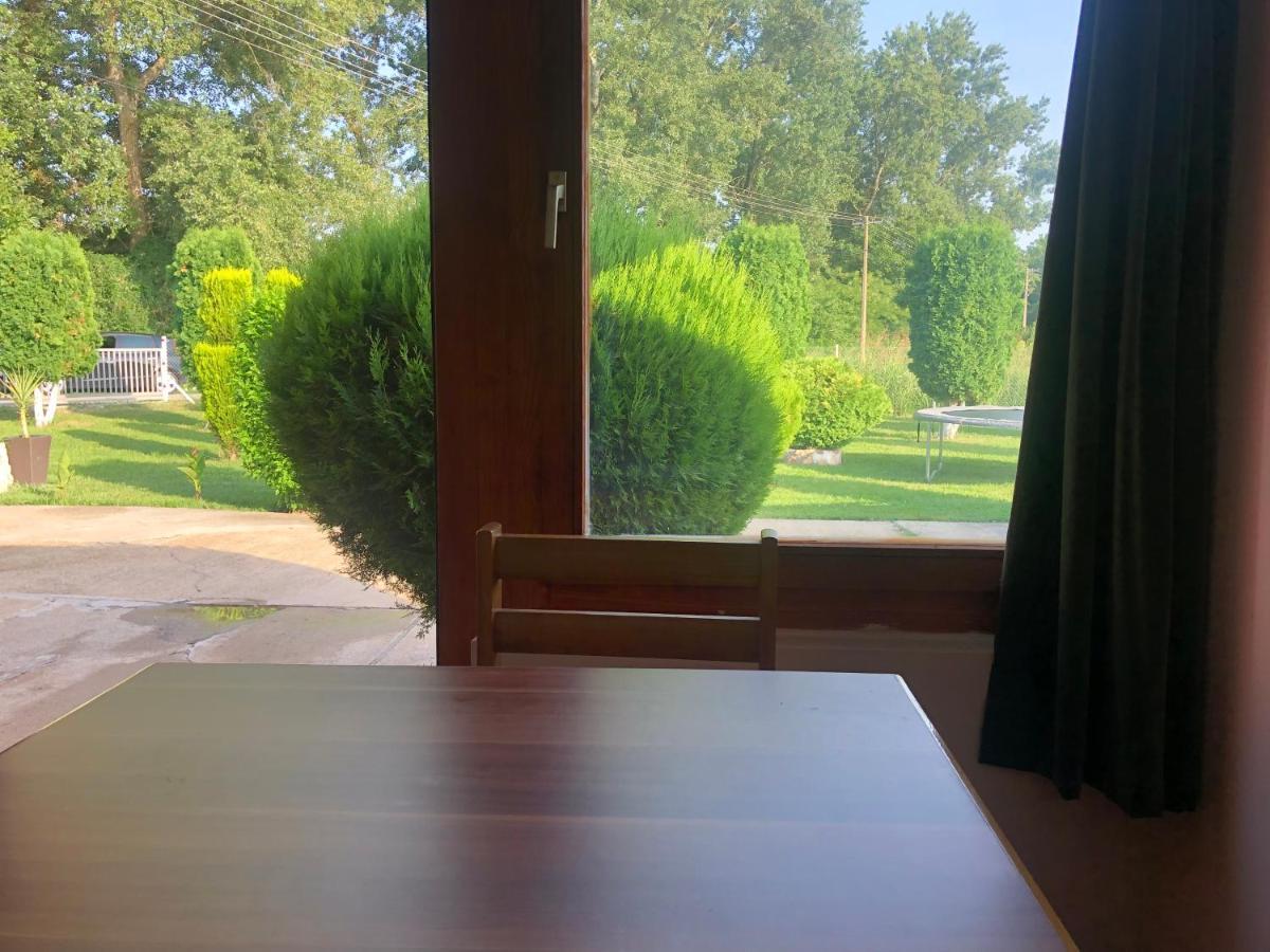 Apartmani Morava 54 Kocino Selo Dış mekan fotoğraf