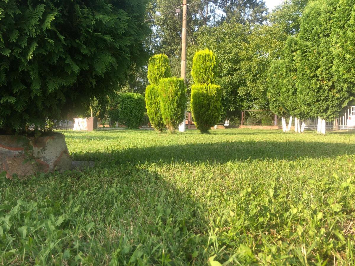 Apartmani Morava 54 Kocino Selo Dış mekan fotoğraf
