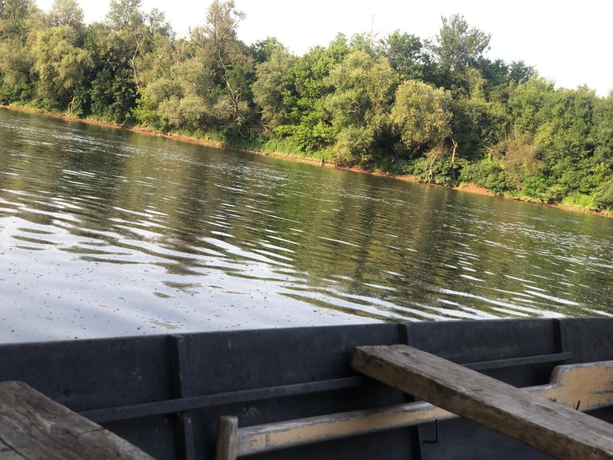 Apartmani Morava 54 Kocino Selo Dış mekan fotoğraf
