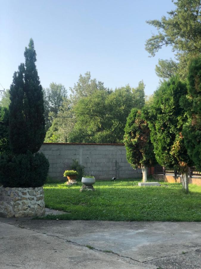 Apartmani Morava 54 Kocino Selo Dış mekan fotoğraf